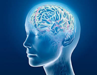 UnlockGenius10's tweet photo. Did you know? Theta brain waves are responsible for creativity and intuition.  
Do you want to learn how to activate them?  
Comment below 👇  
#brilliantmind https://t.co/Wvz6fjVnS4