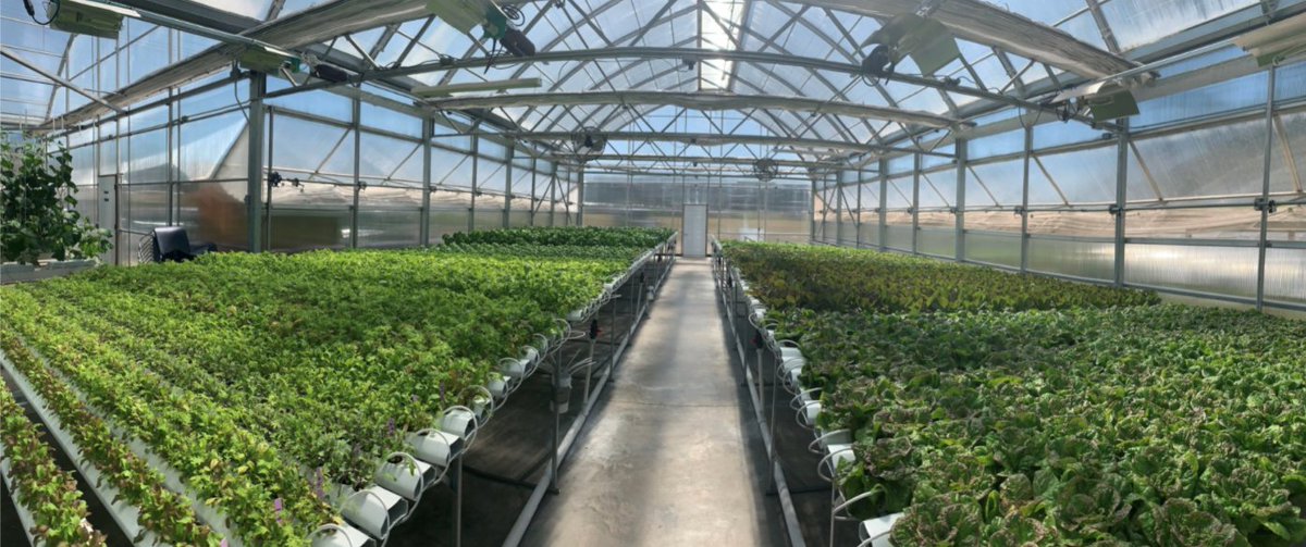 Joe Swartz (@hydroconsultant) on Twitter photo Definitely beats sitting at my desk!!
#LoveTheGreenhouse #CEA #LocalFarms #LocalFood
<a href="/AmHydro/">American Hydroponics</a>
AmHydro.com Definitely beats sitting at my desk!!
#LoveTheGreenhouse #CEA #LocalFarms #LocalFood
<a href="/AmHydro/">American Hydroponics</a>
AmHydro.com