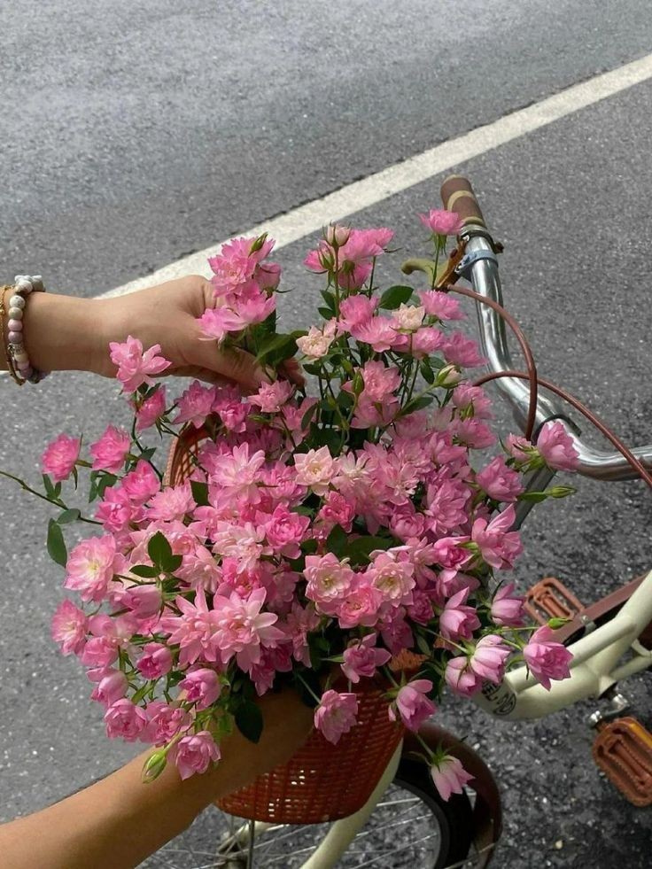 seraphicxc's tweet image. 