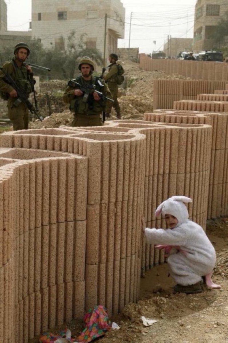 AdameMedia's tweet image. If you’re on the side of the child you’re an antisemite.