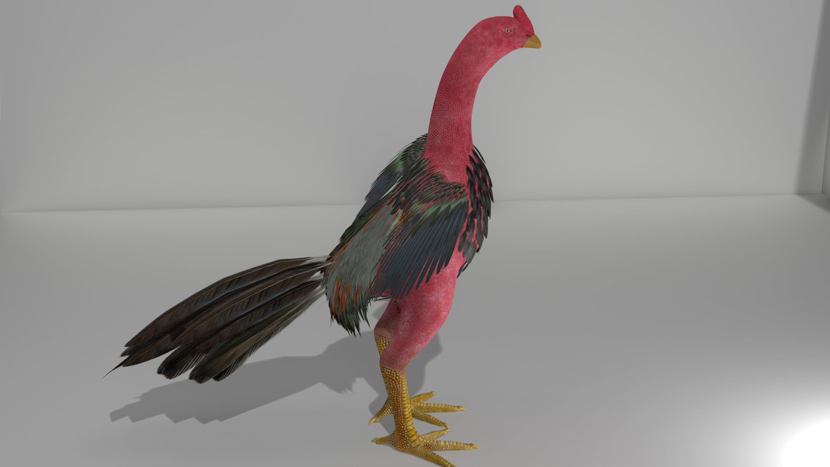 DeveloperGameBR's tweet photo. Fighting Rooster
Available for Hire #gamedev #3DModel #zbrush #render #RoosterFighter https://t.co/T4JNqv1aGh