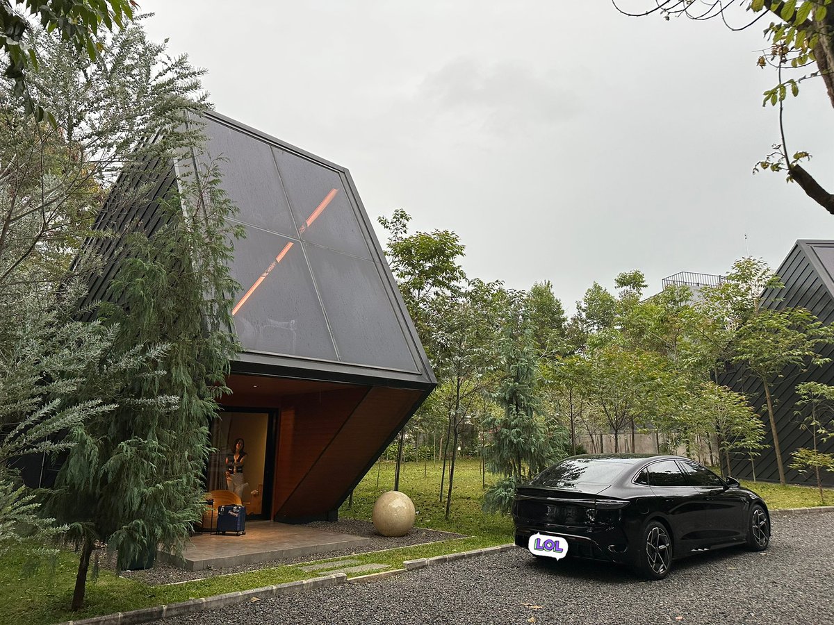 frankthepug tweet media