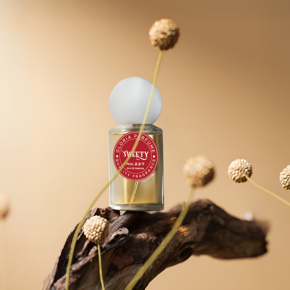 Gloria Perfume ile her anın kokusu daha kalıcı, anılar daha unutulmaz!✨