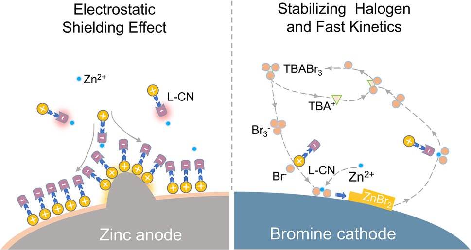143. Integrating Electric Ambipolar Effect for High-Performance Zinc Bromide Batteries
Wenda Li, Hengyue Xu, Shanzhe Ke, Hongyi Zhang, Hao Chen, Gaijuan Guo, Xuanyi Xiong, Shiyao Zhang, Jianwei Fu, Chengbin Jing, Jiangong Cheng &amp; Shaohua Liu*
Nano-Micro Lett. 17, 143 (2025).