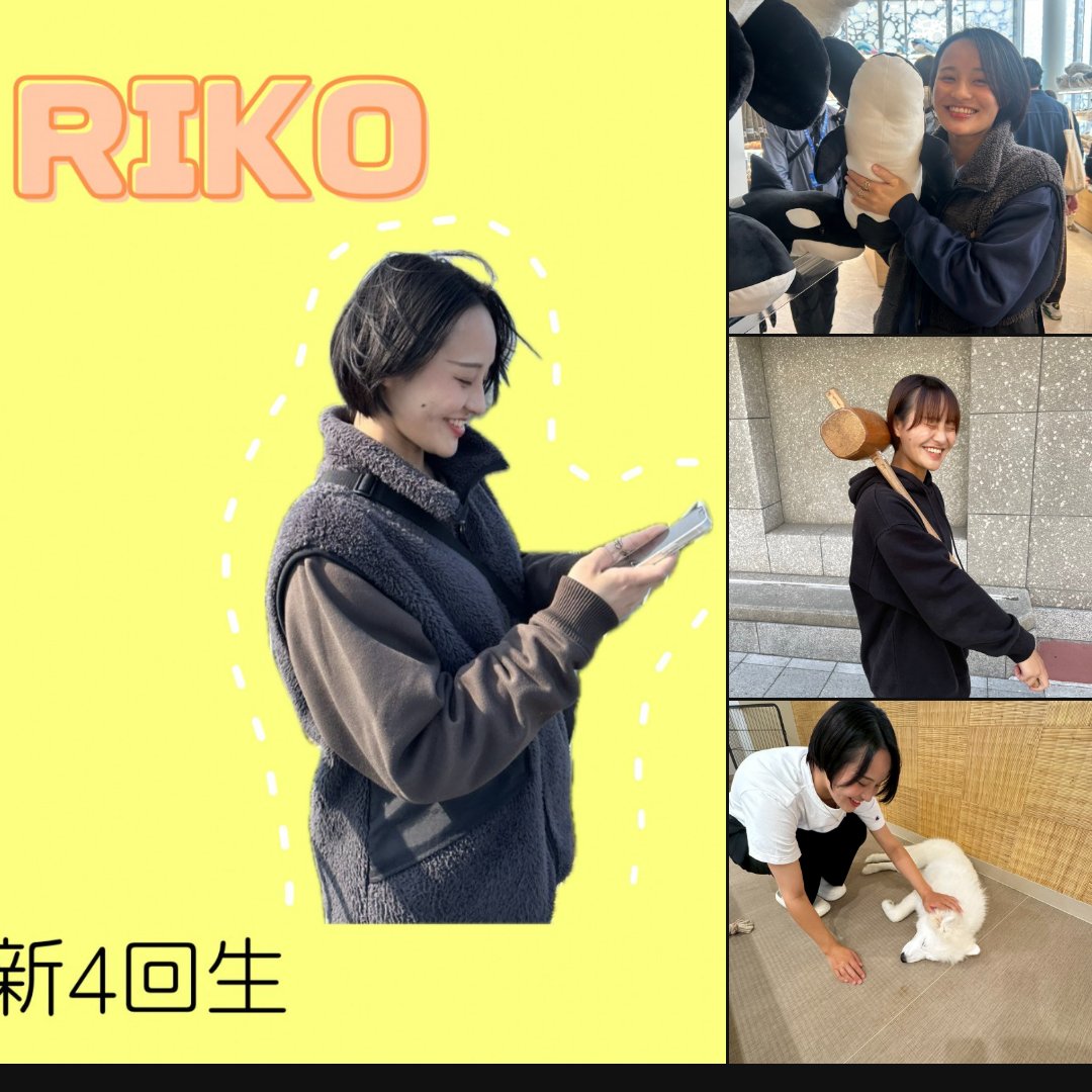 oitrowing_25's tweet image. 【⭐️部員紹介⭐️】

名前:新4回生 足立莉子(あだちりこ)
役割:マネージャー、主務
学科:工学部 都市デザイン工学科
通ってた高校:北摂三田高校
高校の部活:水泳
一言:最後の学生生活！漕艇部で一緒に過ごして、最高に充実したものにしませんか？