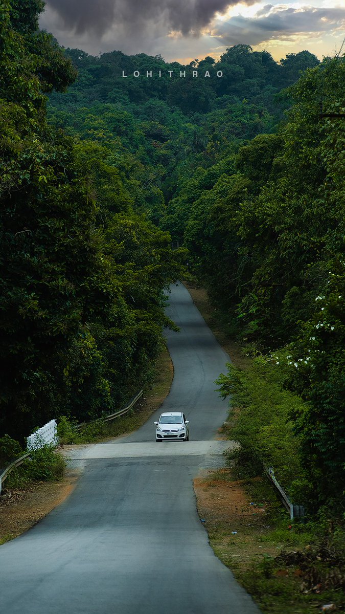 lohithrao's tweet photo. Do you prefer driving through roads covered with dense trees or open, barren roads? #savetrees #saveforest https://t.co/zYP4w2TkbK