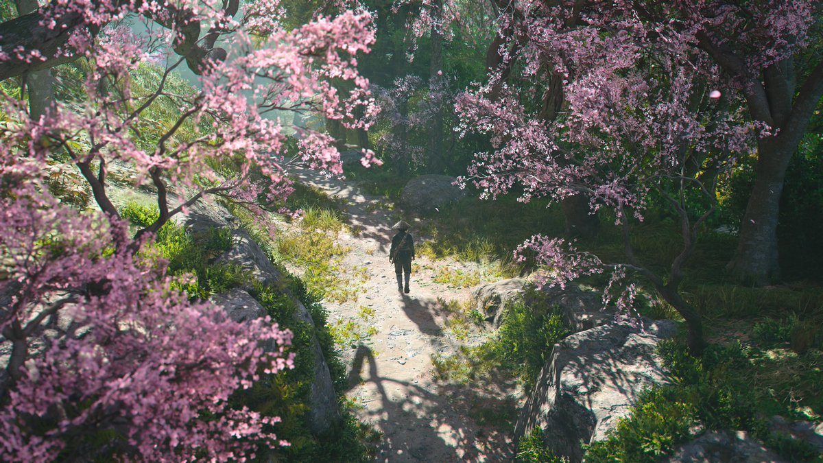 visualcam9 tweet media