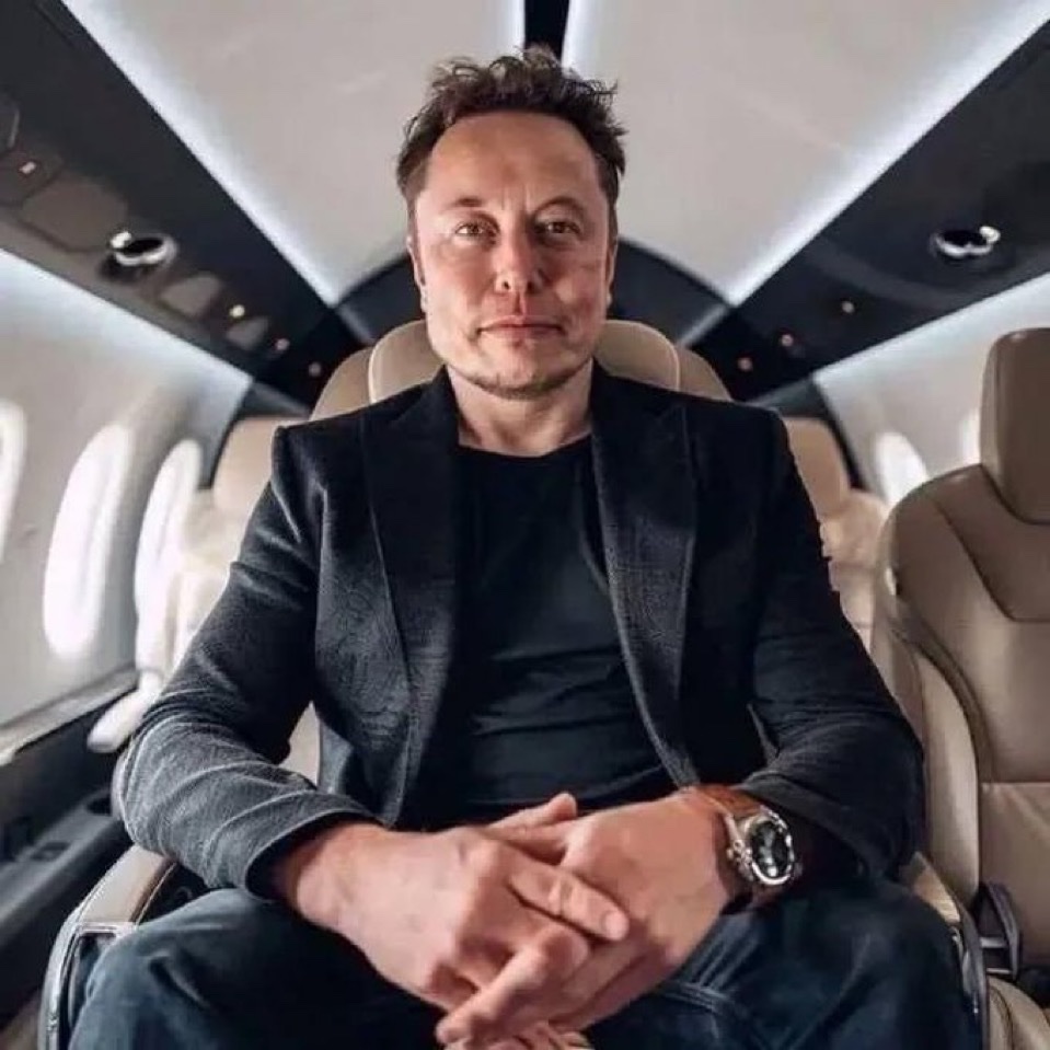 Not Elon Musk tweet media