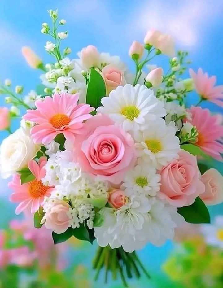 مساء الخير  متابعيييين