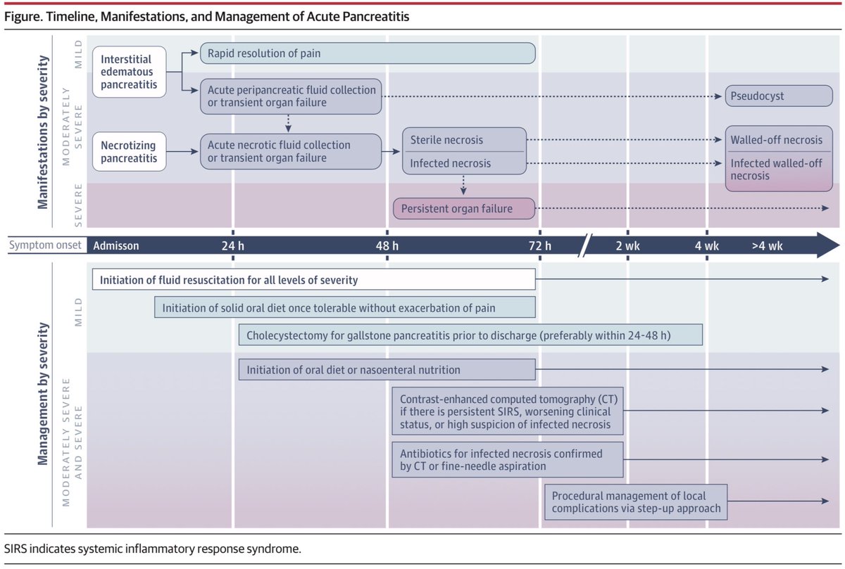 sepdigestiva's tweet photo. PANCREATITIS AGUDA

✳️Clasificación de severidad de Atlanta.
⚡️Etiologías.
‼️Manifestaciones y manejo.
➡️Comparación de guías para resusitación de líquidos, nutrición y colecistectomía.

JAMA. 2021;325(4):382-390.
#MedicinaInterna https://t.co/Jq5jfEtVK8