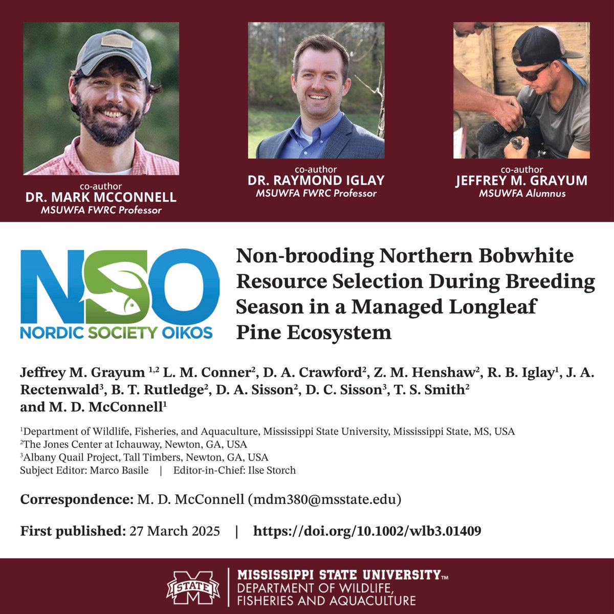 MSU Wildlife, Fisheries, and Aquaculture (@msuwfa) on Twitter photo New research on non-brooding northern #bobwhite!🐦
<a href="/MSUWFA/">MSU Wildlife, Fisheries, and Aquaculture</a>'s #FWRC Drs. McConnell & Iglay and alumnus Grayum highlight the role of fire & habitat diversity in bobwhite population growth in their new study published in <a href="/WildlifeBiol/">Wildlife Biology</a>.
🔗t.ly/nEiJT
#MSUWFA #MSUCFR New research on non-brooding northern #bobwhite!🐦
<a href="/MSUWFA/">MSU Wildlife, Fisheries, and Aquaculture</a>'s #FWRC Drs. McConnell & Iglay and alumnus Grayum highlight the role of fire & habitat diversity in bobwhite population growth in their new study published in <a href="/WildlifeBiol/">Wildlife Biology</a>.
🔗t.ly/nEiJT
#MSUWFA #MSUCFR