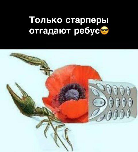 Дата Туташкен tweet media