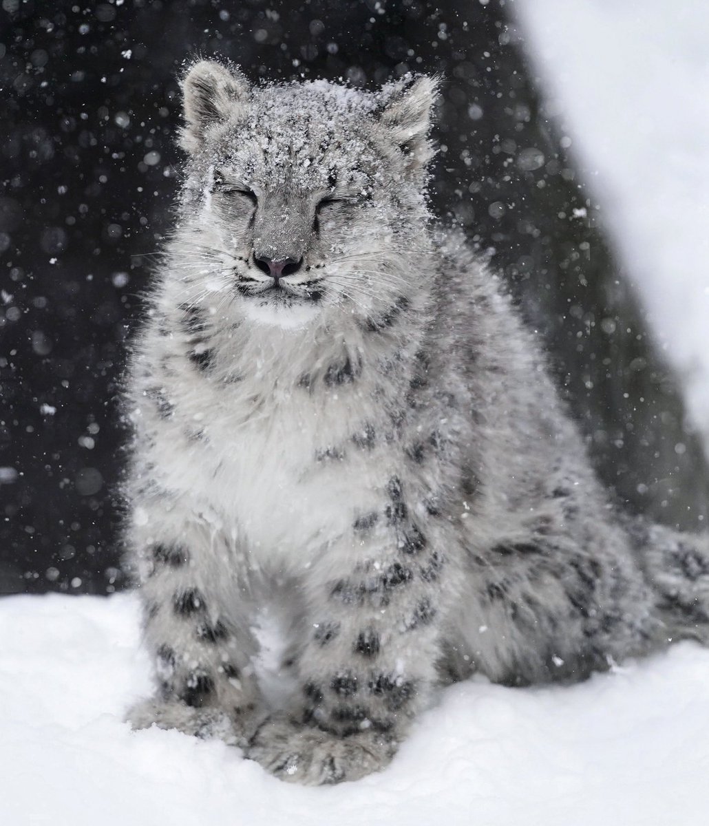 明日も寒いみたいです