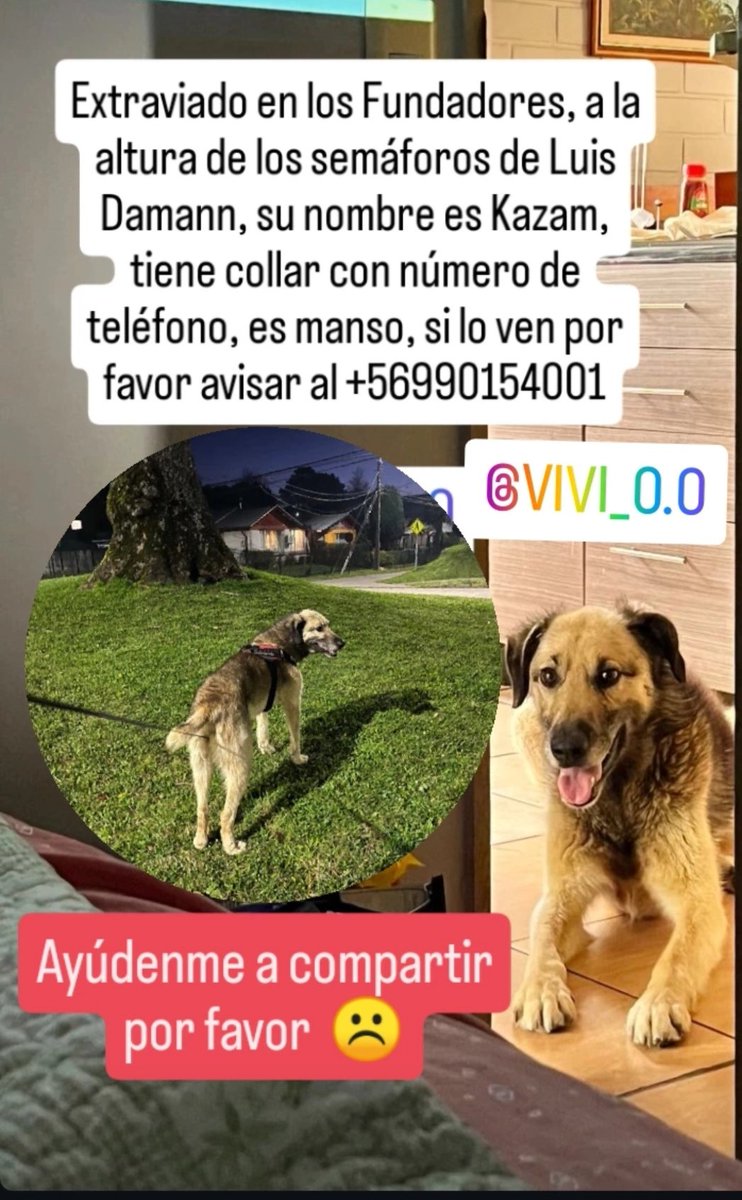 Susanita90 tweet media