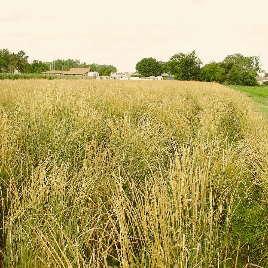 BETA Tech Centre tweet media