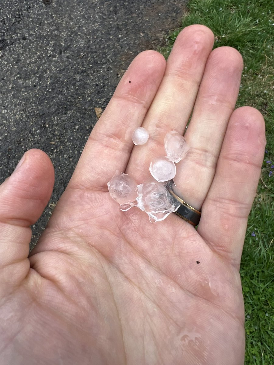 Some of the hail which just fell just north of campus. 

Central Ohio is expecting severe weather later so be sure to keep up with <a href="/nbc4i/">NBC4 Columbus</a> for the latest.