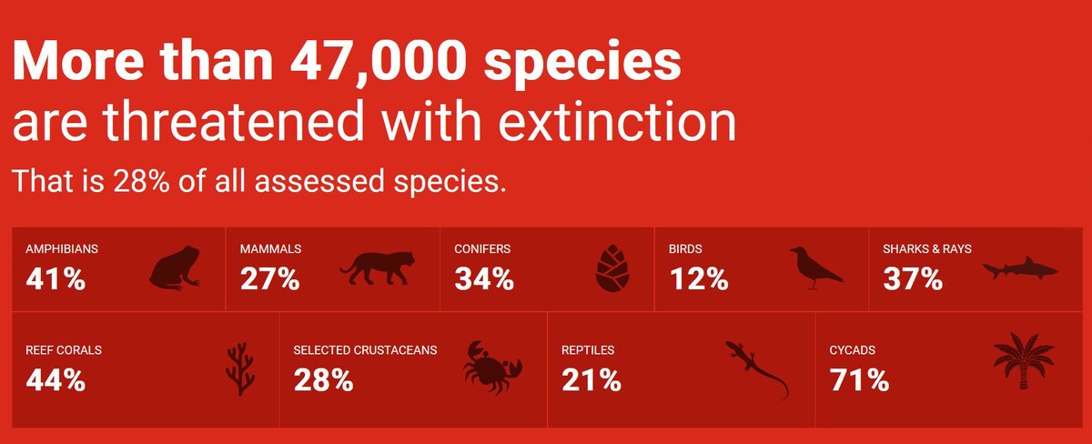IUCN (@iucn) on Twitter photo The IUCN Red List now includes 169,420 species, of which 47,187 are threatened with extinction.
The <a href="/IUCNRedList/">IUCN Red List</a> is a critical indicator of the health of the world’s #biodiversity.
iucnredlist.org The IUCN Red List now includes 169,420 species, of which 47,187 are threatened with extinction.
The <a href="/IUCNRedList/">IUCN Red List</a> is a critical indicator of the health of the world’s #biodiversity.
iucnredlist.org