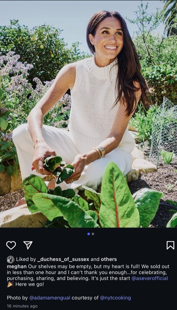 so proud of meghan for selling out everything on as ever in less than ONE hour 👏🏻 she has and always will be that bitch