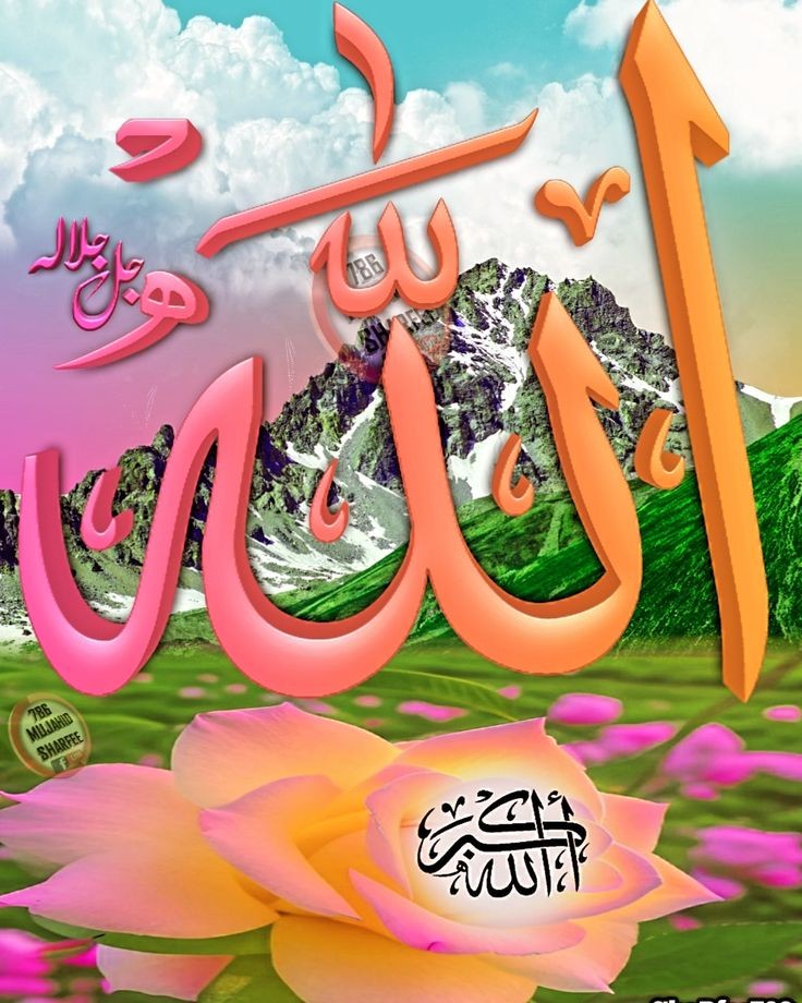 YASEEN tweet media