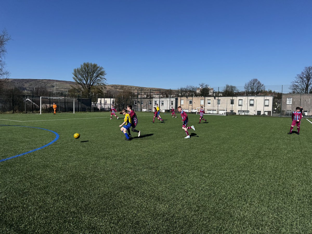 Clydemuir Primary School tweet media