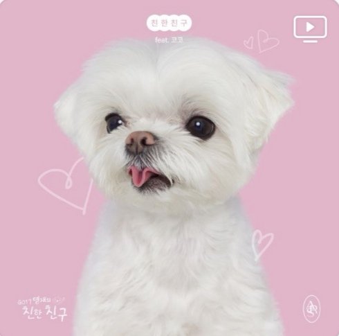 GOT7 WARRIORS tweet media