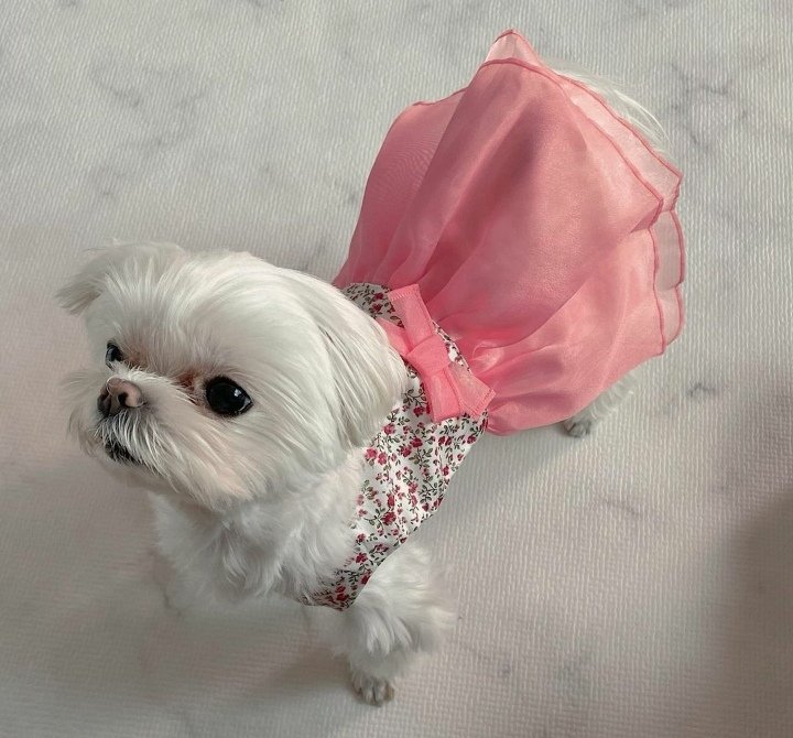 GOT7 WARRIORS tweet media