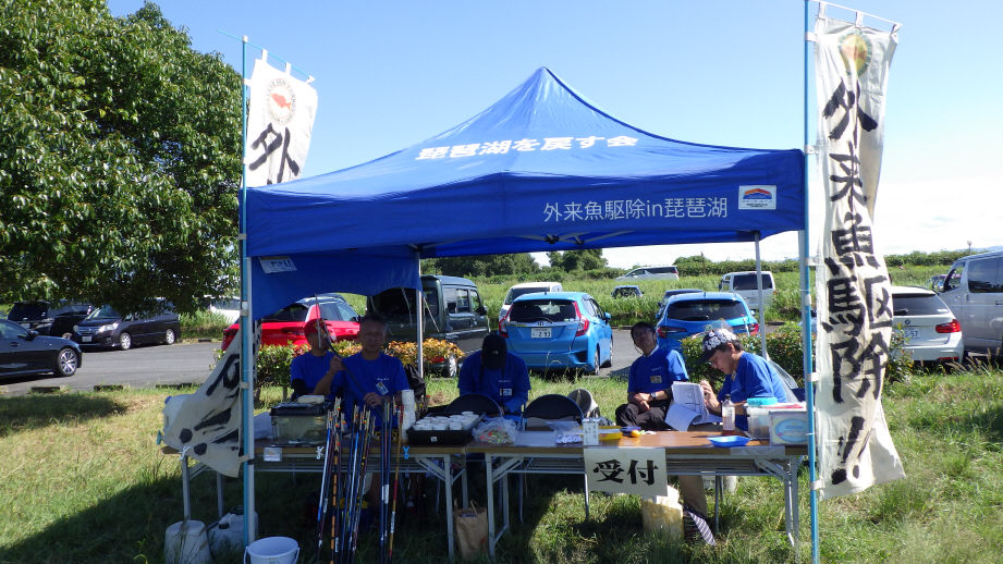 OsakaVolunteer's tweet photo. \ #環境 /琵琶湖外来魚駆除大会🐟
在来魚保護のために #琵琶湖 の #外来魚 を駆除します!
日時:4/20(日) 10:00-15:00
場所:滋賀県草津市津田江1 (北) 湖岸緑地(最寄:JR琵琶湖線「草津」)
募集先:琵琶湖を戻す会 @modosukai
詳細
☞ https://t.co/86AxadnDOq
#N005 https://t.co/iVMfTL6mIm
