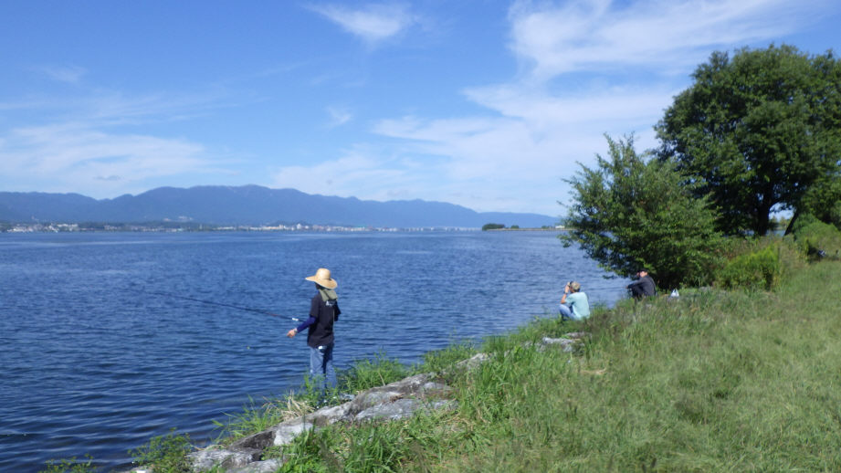OsakaVolunteer's tweet photo. \ #環境 /琵琶湖外来魚駆除大会🐟
在来魚保護のために #琵琶湖 の #外来魚 を駆除します!
日時:4/20(日) 10:00-15:00
場所:滋賀県草津市津田江1 (北) 湖岸緑地(最寄:JR琵琶湖線「草津」)
募集先:琵琶湖を戻す会 @modosukai
詳細
☞ https://t.co/86AxadnDOq
#N005 https://t.co/iVMfTL6mIm
