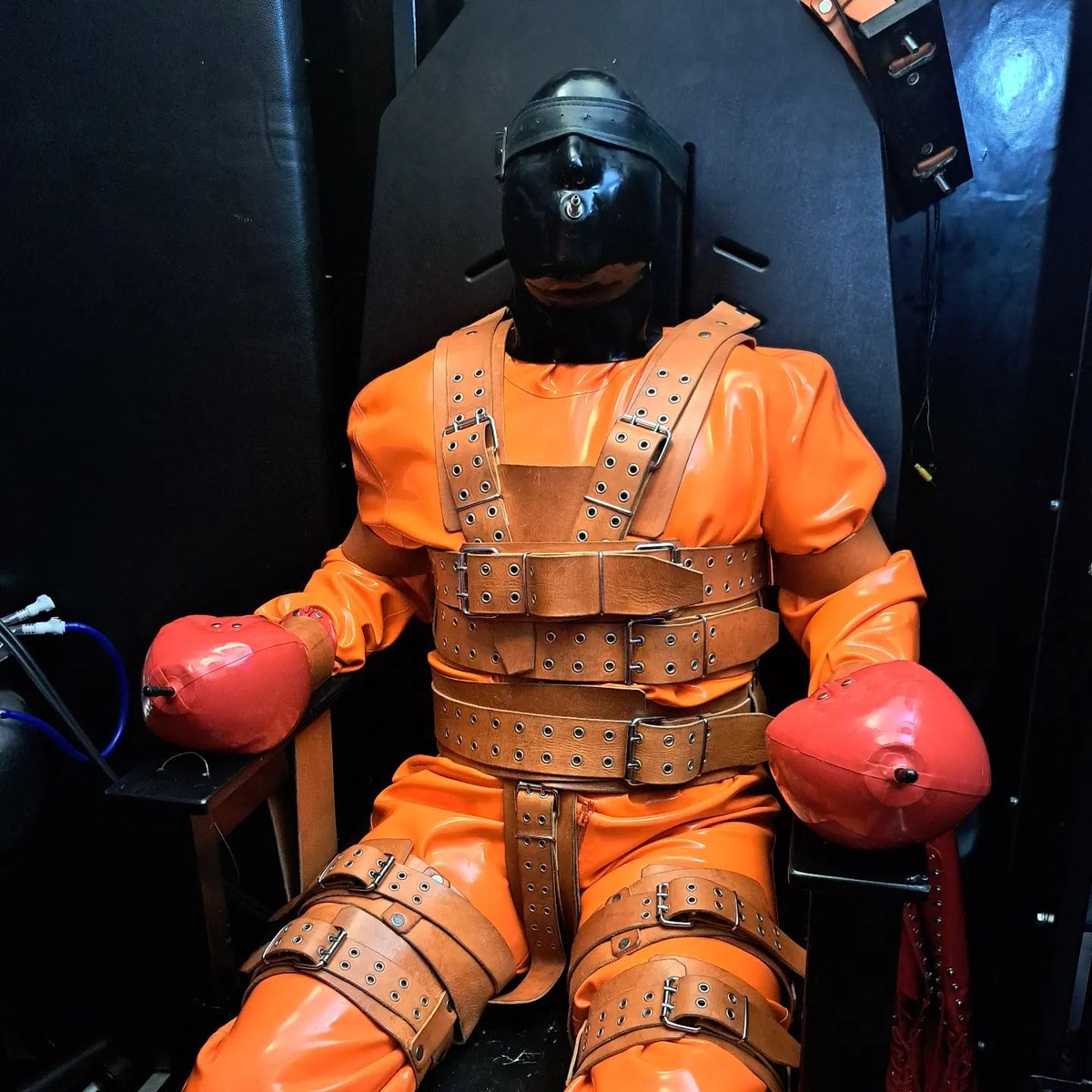 So würde ich auch gerne gefangen gehalten...