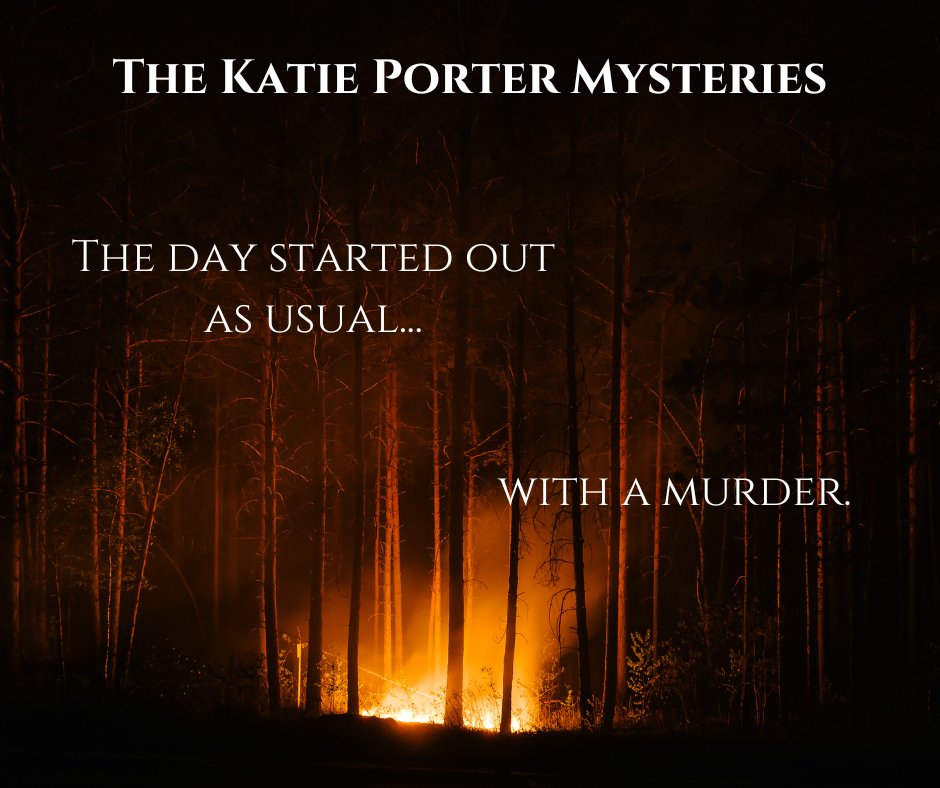 KMcgivens's tweet photo. The Katie Porter Mysteries
Are you ready?
#MysteryReads #CozyMystery #readingforpleasure #HistoricalFiction #MYSTERY #Whodunit #series #BookLovers #booktwt #femaledetectives https://t.co/Fj9jUNW8T7