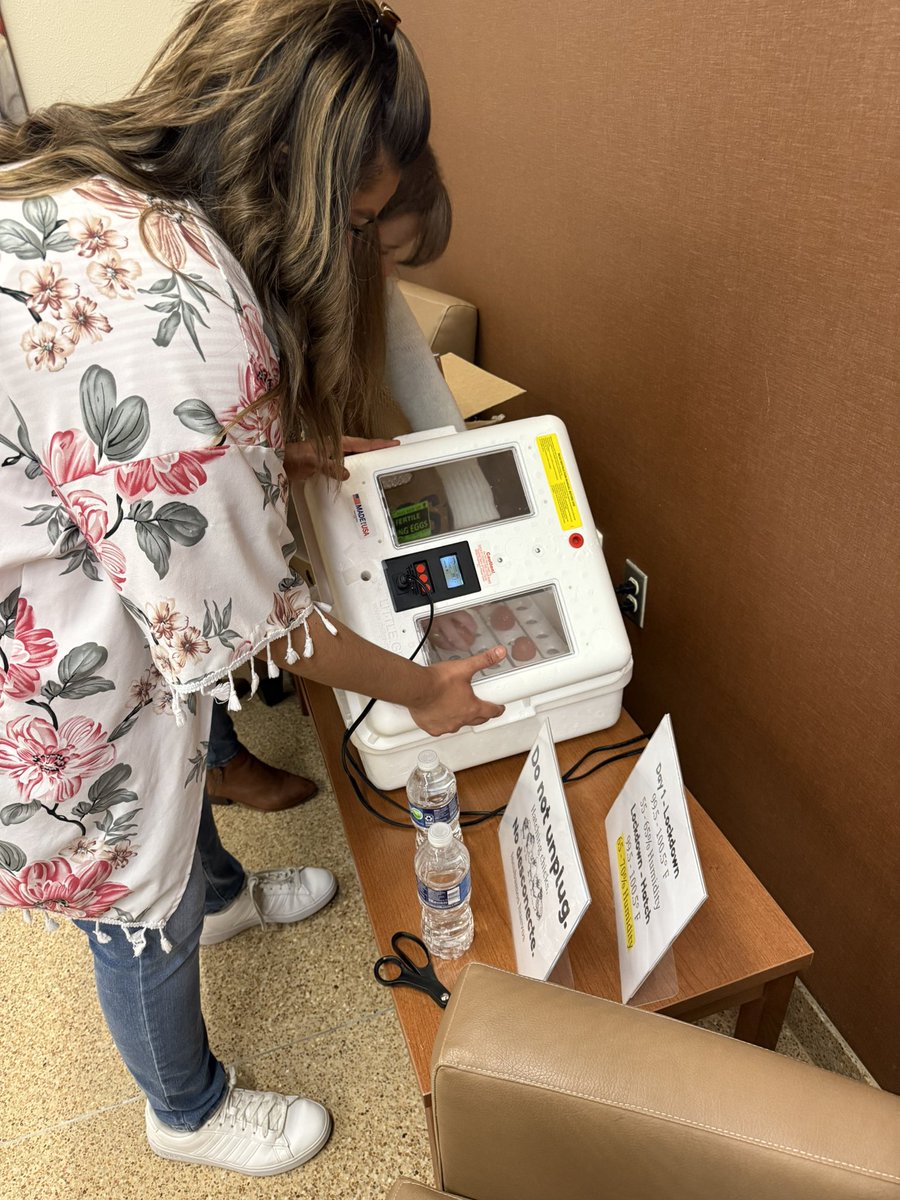 Serita D (@serita_nicole) on Twitter photo Exciting day at the admin building! 🐣 The chicks have officially arrived and are settling in! Stay tuned for more updates as we watch these little ones grow. <a href="/ci_elem/">Frisco ISD Elementary Teaching and Learning</a> Exciting day at the admin building! 🐣 The chicks have officially arrived and are settling in! Stay tuned for more updates as we watch these little ones grow. <a href="/ci_elem/">Frisco ISD Elementary Teaching and Learning</a>