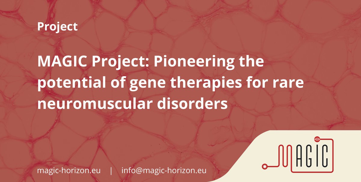 🚀 Join MAGIC in transforming gene therapy and precision medicine for neuromuscular conditions! 

Explore collaboration opportunities in:
🧫 Organ-on-chip technology
🧬 Gene therapy process development 
 🔬And much more!

Find out how: magic-horizon.eu

#GeneTherapy