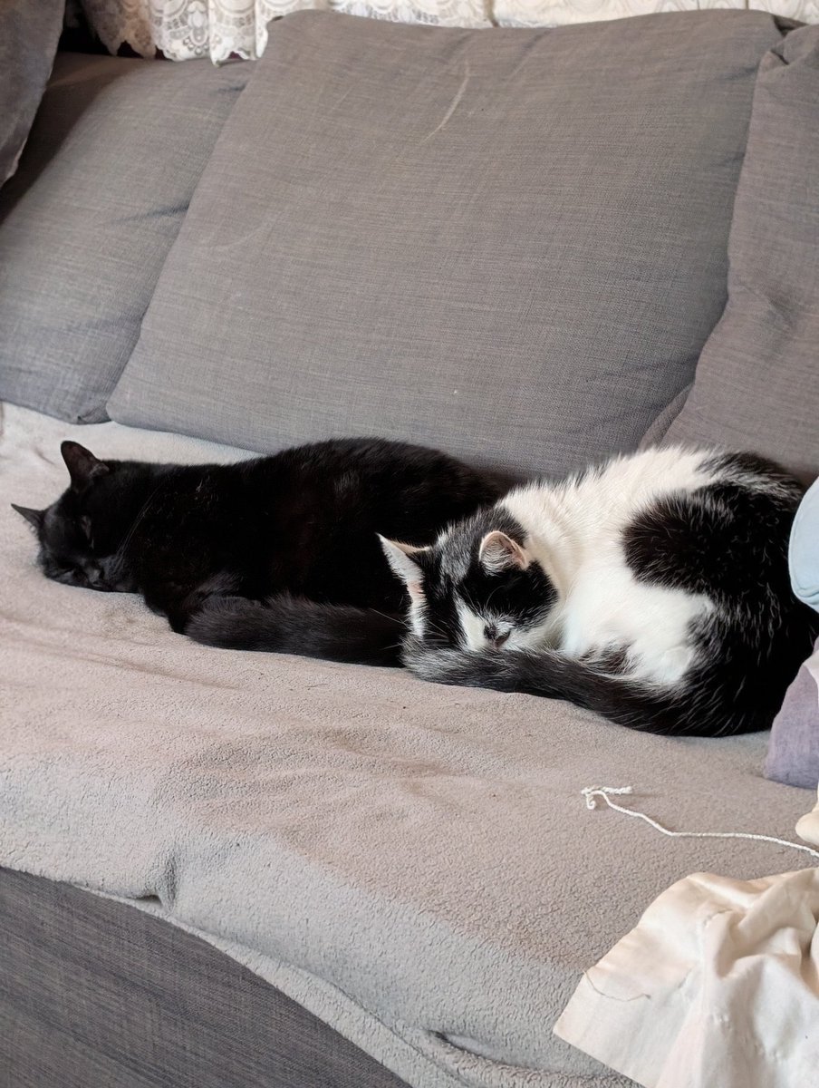 Sarah Richardson tweet media