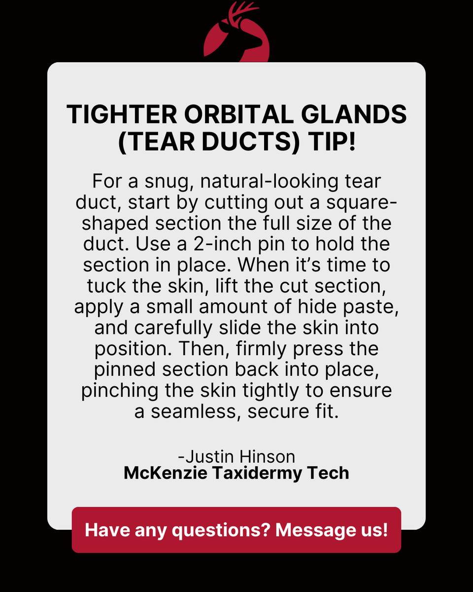 Get tighter, more natural-looking tear ducts with this pro tip from McKenzie Taxidermy Tech Justin Hinson! Cut, pin, tuck, and secure for a seamless finish.

Have any questions? Let us know! 

#TaxidermyTips #ProTechniques #McKenzieTaxidermy