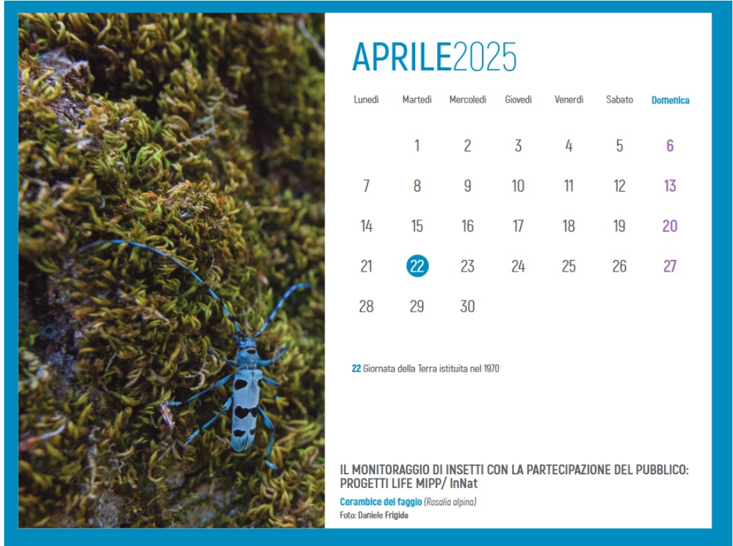 Network Nazionale della Biodiversità (@networknnb) on Twitter photo Calendario 2025 <a href="/networknnb/">Network Nazionale della Biodiversità</a> dedicato al Progetto Life
MIPP/InNat
🚩bit.ly/3XGmHwS
22 aprile #GiornataTerra Calendario 2025 <a href="/networknnb/">Network Nazionale della Biodiversità</a> dedicato al Progetto Life
MIPP/InNat
🚩bit.ly/3XGmHwS
22 aprile #GiornataTerra