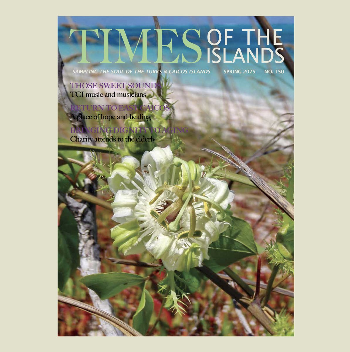 IslandsTimes's tweet photo. Spring 2025 Times of the Islands is here. ON THE COVER: Marta Morton of Harbour Club Villas (https://t.co/lhJVFEfa9L) took this lovely image of a passionflower growing by the sea. Learn more about this flower in this issue's “Island Wildlife” feature. https://t.co/QAXmViplyI