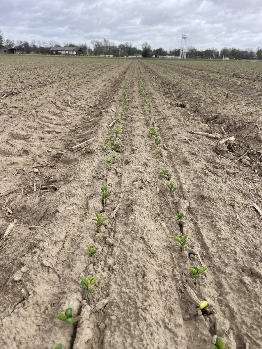 Jason Rudick tweet media