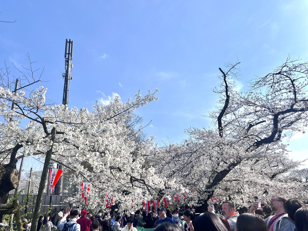 CheerKokoro's tweet photo. 社会人3年目！
東京3年目！
何かが起こりそう！ https://t.co/UA6oOuBGPW