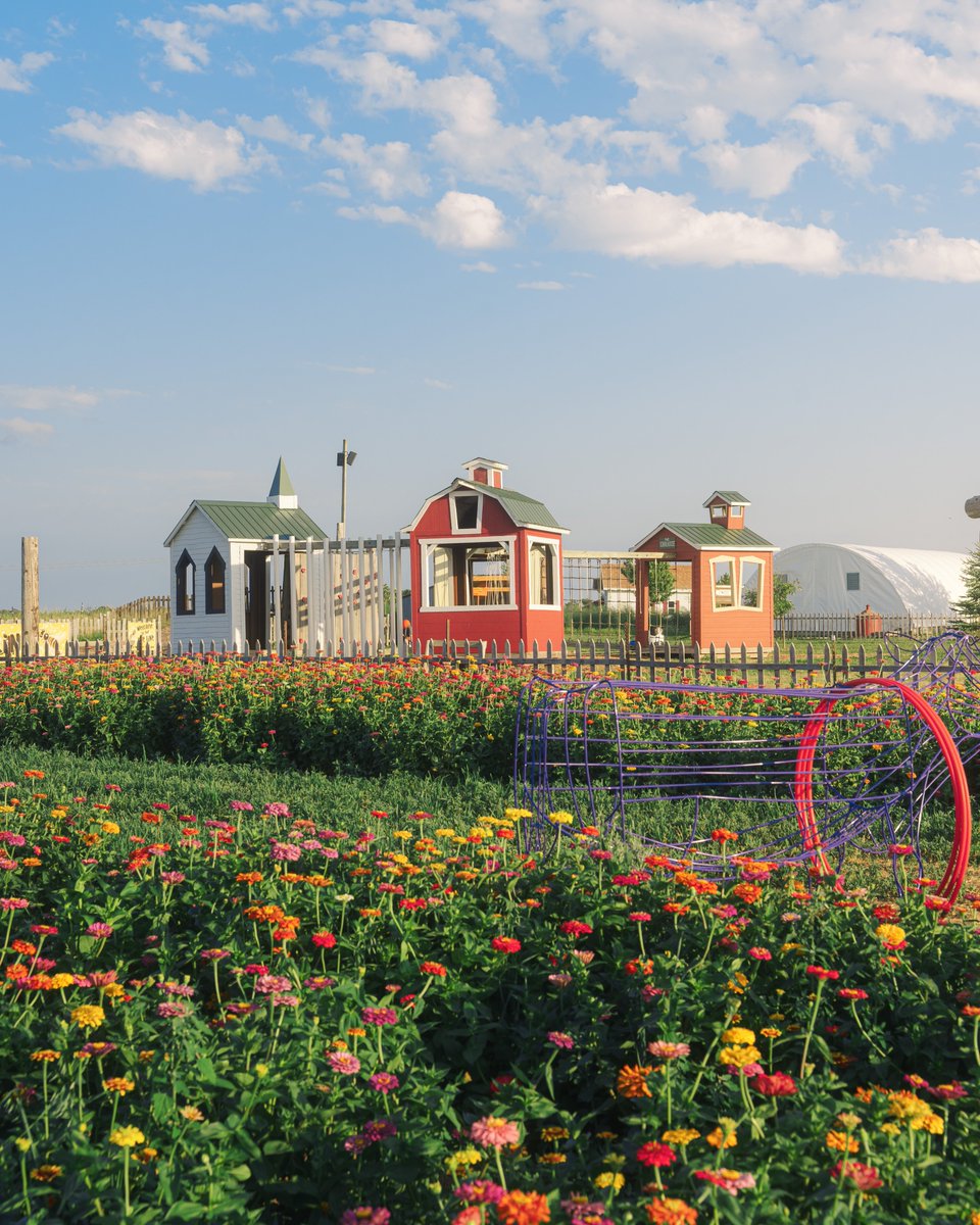 _thecolorfulkid's tweet image. It all felt okay here