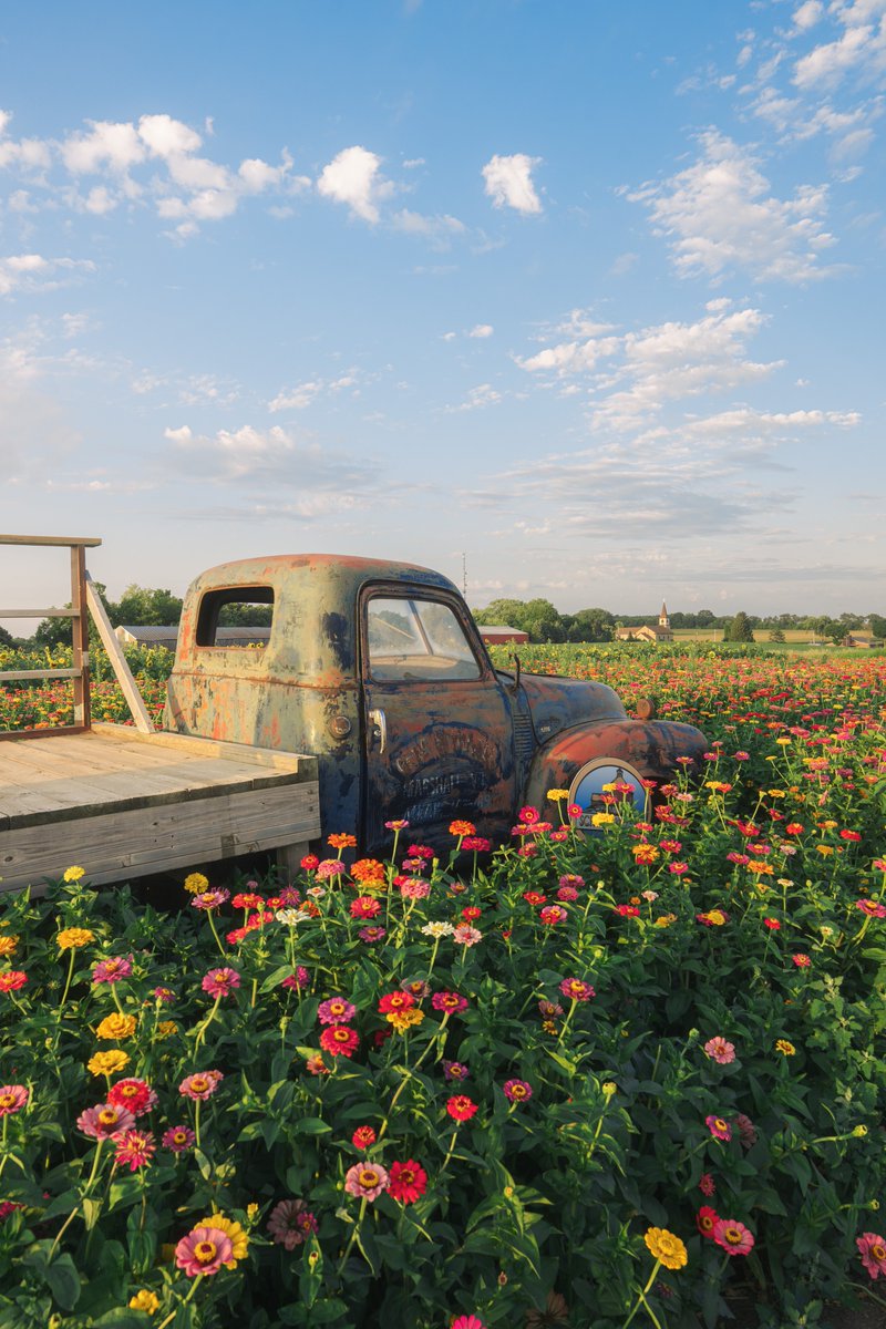 _thecolorfulkid's tweet image. It all felt okay here