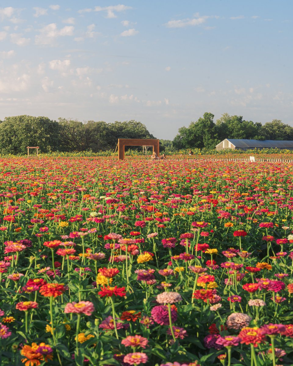 _thecolorfulkid's tweet image. It all felt okay here