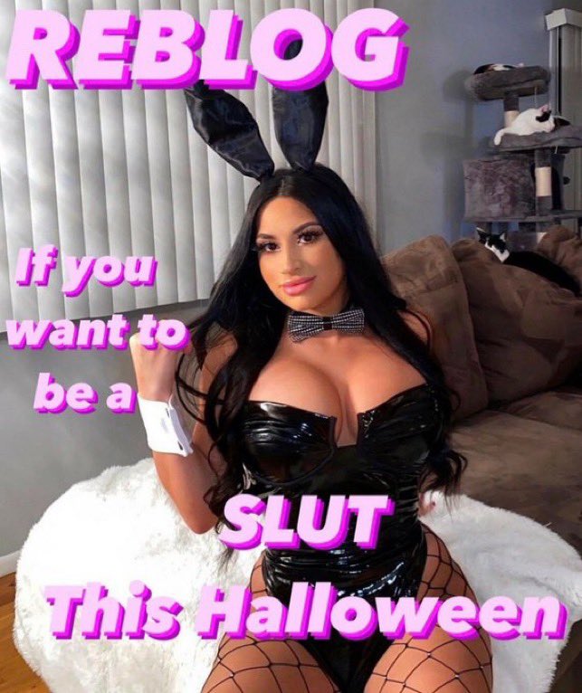 Goddess Anna Sissification College tweet media