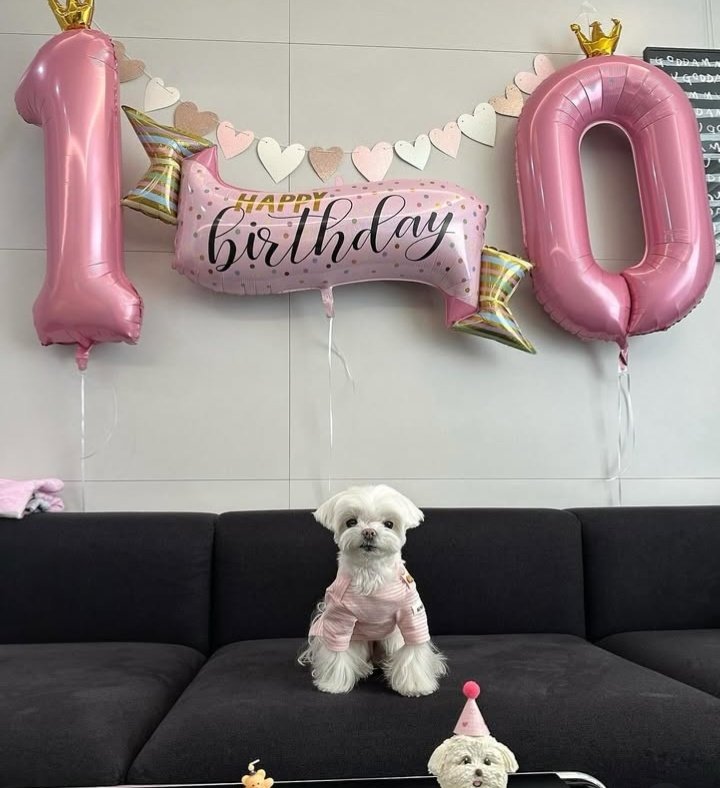 You gave Igot7, GOT7 and Youngjae 10 years of happiness. 
We will miss you so much.