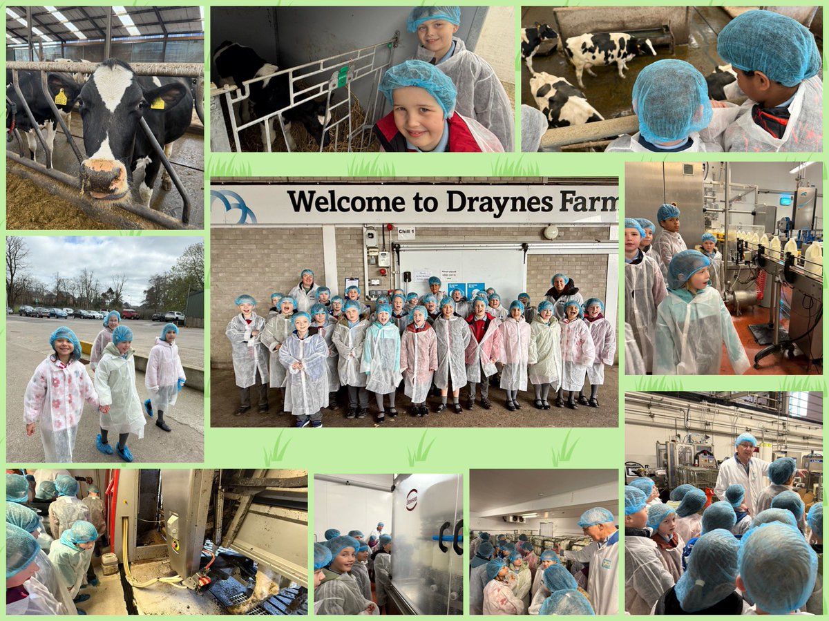 pondparkp4's tweet photo. P4McC really enjoyed their trip to Draynes Farm to learn all about how milk and ice-cream are produced and see the milking and production processes.  We even got to sample some delicious Draynes ice-cream! https://t.co/j3Nvbv4ev5
