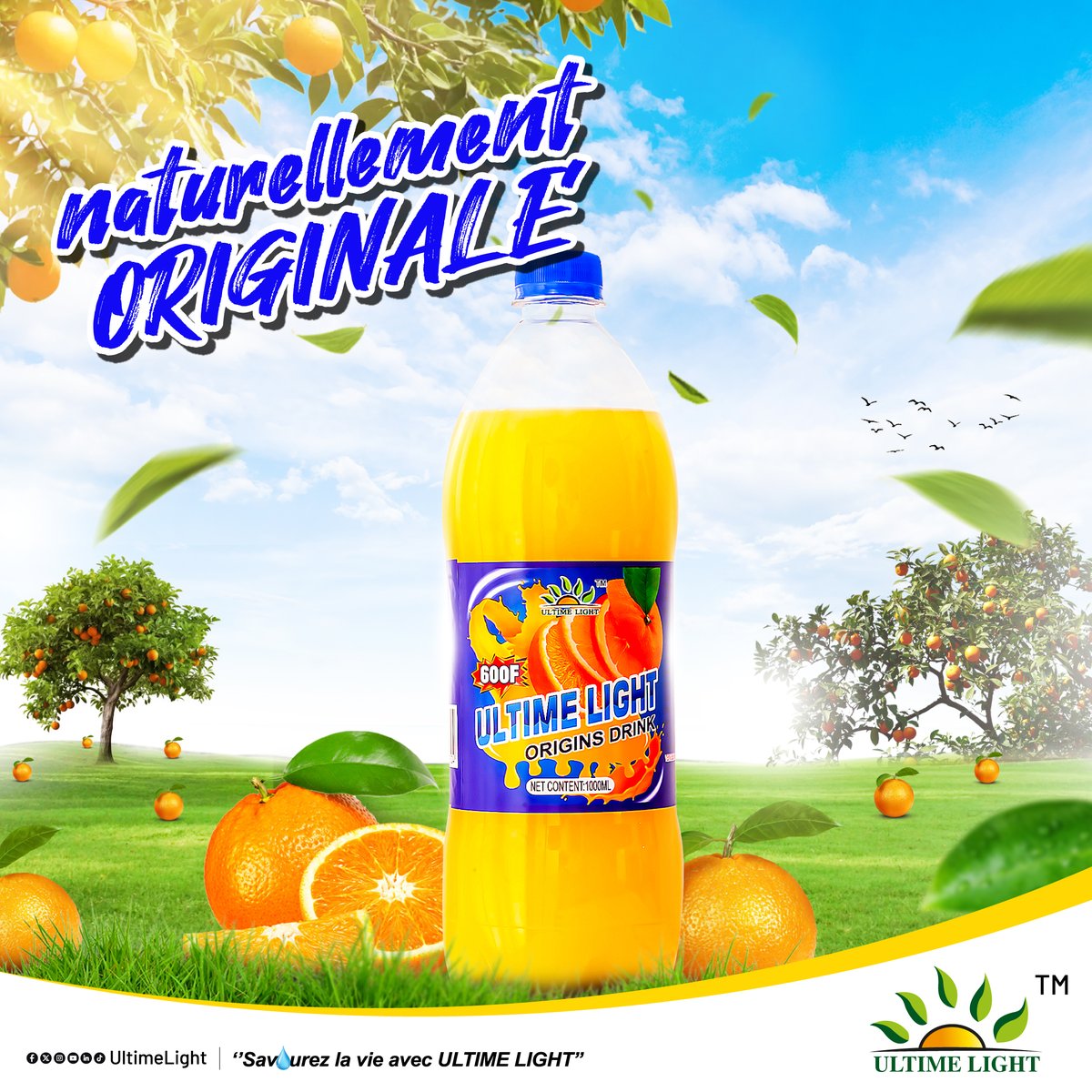 UltimeLight's tweet photo. Naturellement originale, #OriginsDrink boissons Gazeuses sans alcool #EauMinérale #BoissonsGazeuses #boissonsansalcool #Douala #Cameroun #TikTokCameroun #CARÊME #Gabon #Mbankomo #ramadan2025 #UltimeLight #Yaoundé https://t.co/Ob2q21KDn9