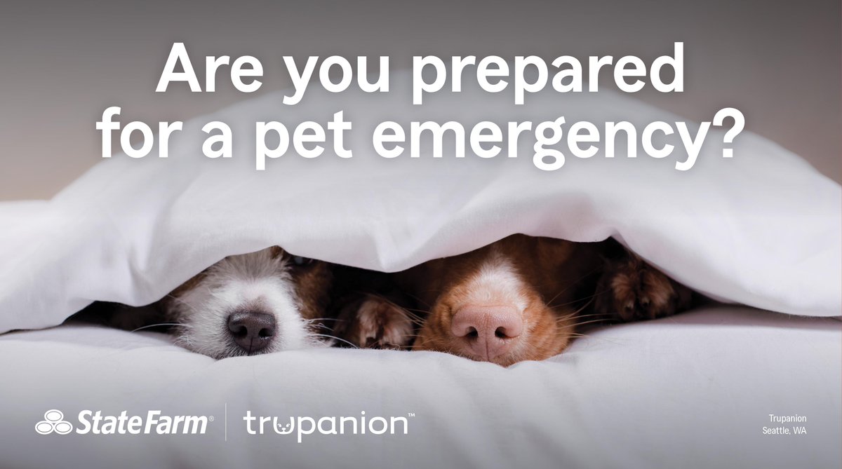 Emergency preparedness is important to both State Farm and Trupanion. From ensuring you have a pet-friendly first aid kit to obtaining pet insurance, I'm here to help. Contact me to learn more. #GoodNeighbor

st8.fm/4476nsU
