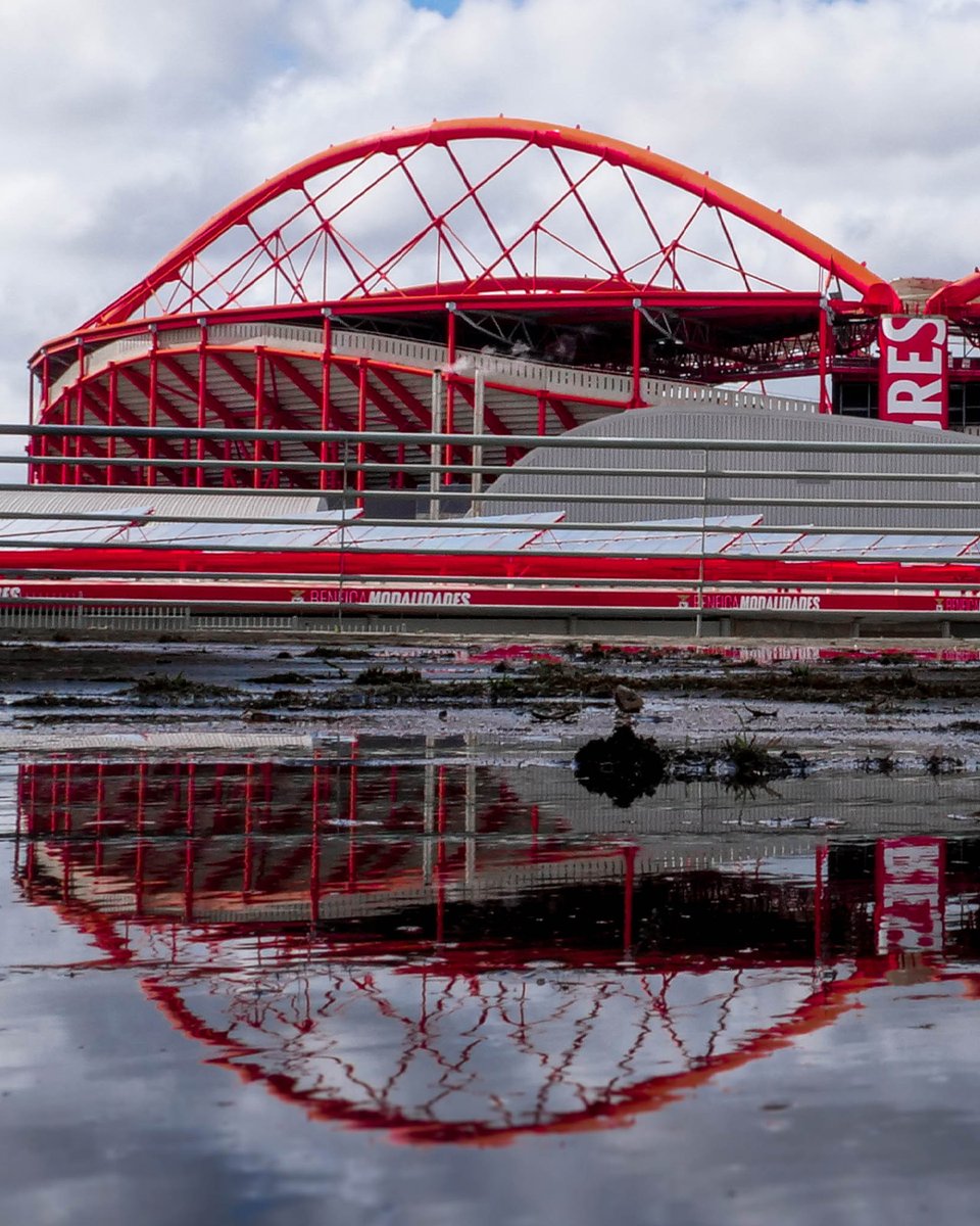 SLBenfica's tweet photo. 𝐇 𝐎 𝐌 𝐄 🏟️

#SLBSCF https://t.co/l10EO8PHW2