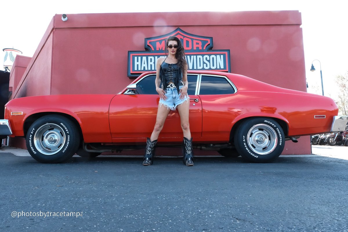 AmberNova73's tweet photo. Open Roads & Full Throttle ๐๏ธ @OrlandoHarley ๐ค๐ผ๐งก
Whatโs your highway song ๐ธ?
#OrlandoHarley #AmberNova #ChevyNova https://t.co/H9Lb4CJ2ew