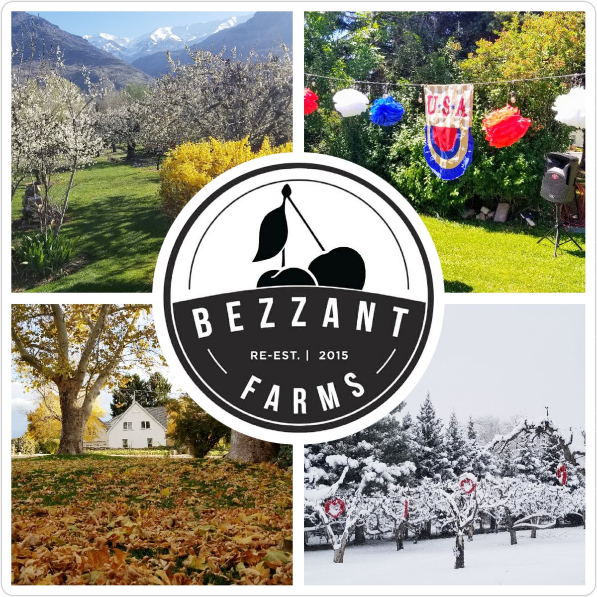 Bezzant Farms tweet media