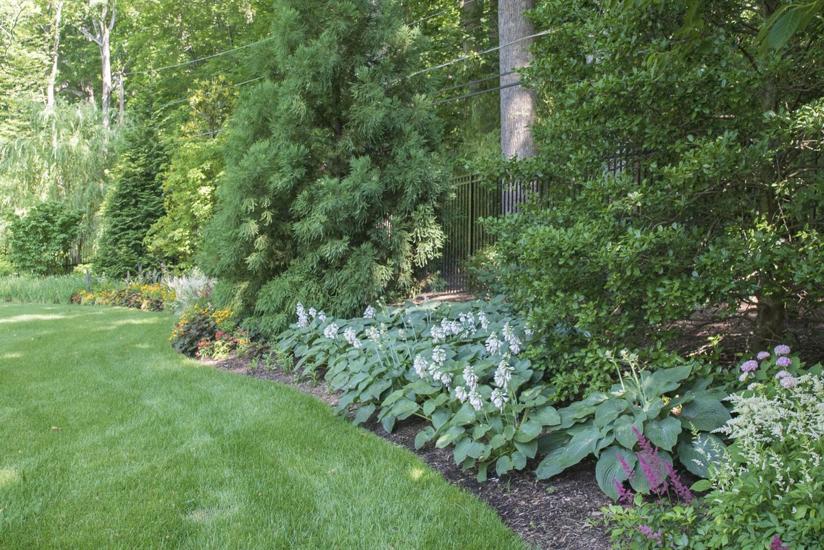 LerchBros's tweet image. Enhance your garden space this Spring. Check out all we offer at LerchBrothers.com !

#MarylandGardens #LerchBrothers #SpringProject #Outdoorliving  #GardenEnhancement #SpringGardening #GardenDesign #LerchBrothersGardens